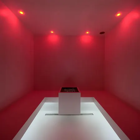 Dan 酒店 里乔内