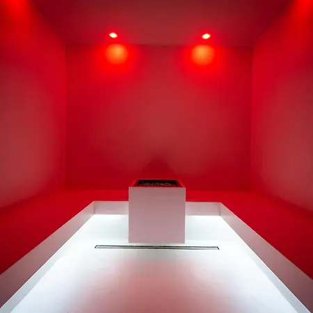 酒店 Dan 里乔内